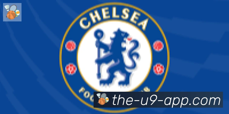 U9国际体育合作伙伴